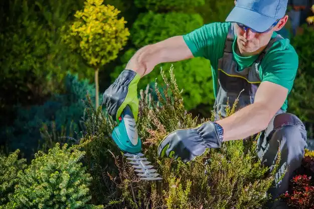 landscaping services Nicholasville